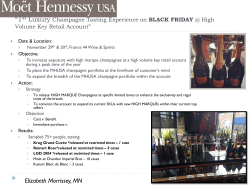 Success Stories Template