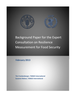Background Paper for the Expert Consultation on Resilience