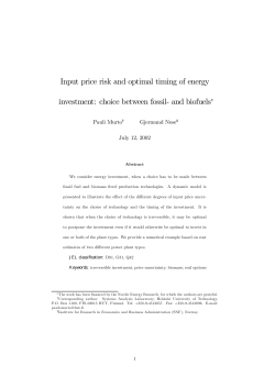 Input price risk and optimal timing of energy investment: choice
