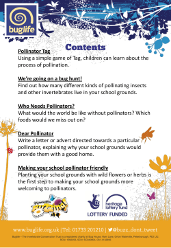 Pollinator Tag Using a simple game of Tag, children can