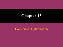 Chapter 15 - Constraint Optimization