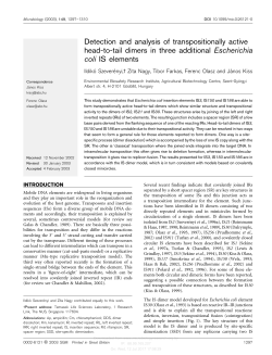 Detection and analysis of transpositionally active head-to