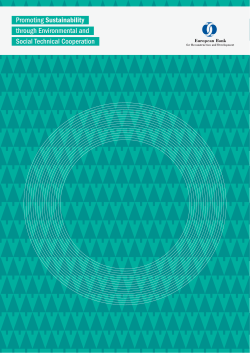 Promoting Sustainability through Environmental and Social