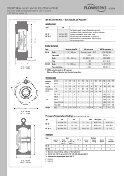 DISCO&reg; Non-Return Valves RK, PN 6 to PN 40