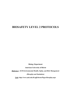 Biosafety level 2 Protocols - American University of Beirut