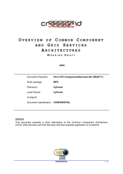 Overview of Common Component and Grid Services Architectures