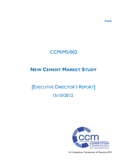 Executive Director`s report for the cement market study