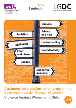 Lambeth VAWG Customer Insight Report