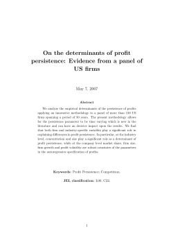 On the determinants of profit persistence: Evidence from a