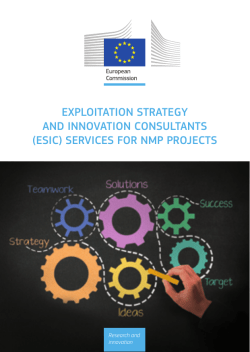 exploitation strategy and innovation consultants