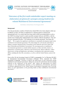 Outcomes of the first multi-stakeholder expert meeting on