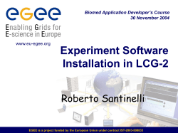 Experiment Software Installation in LCG-2