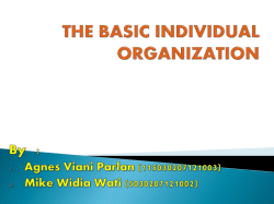 the basic individual organization