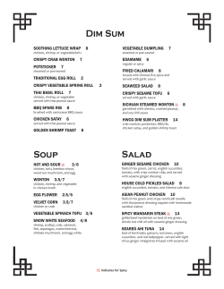 Dim Sum Soup Salad - Howard Wang`s Restaurants.