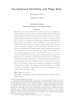Occupational Switching and Wage Risk
