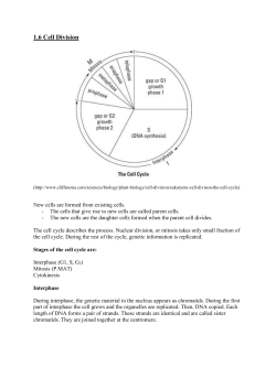 1.6 Cell Division
