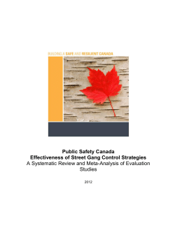 Effectiveness of Street Gang Control Strategies