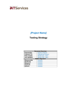 BLD-MAND-Testing Strategy
