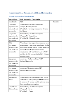 Mozambique Road Assessment Additional Information