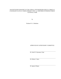 Thesis - The University of Texas at Dallas