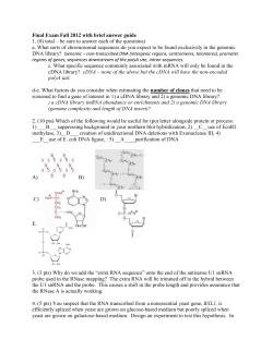 Old Final Exam with answer key