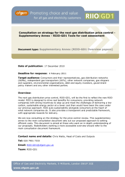 Document type: Supplementary Annex (RIIO