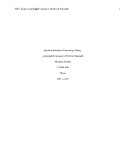 SIP Theory: Meaningful Groups in World of Warcraft 1 Social