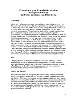 Summary of mindset study