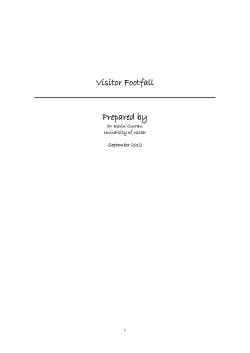1. Visitor Footfall Capture