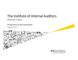Risk - The Institute of Internal Auditors