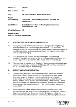 Adoption of Housing Strategy - Meetings, agendas and minutes