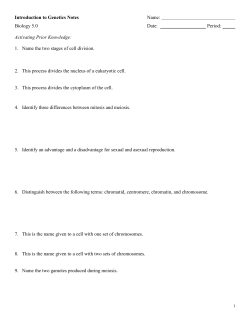 Introduction to Genetics Notesheet