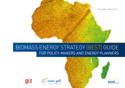 biomass energy strategy (best)guide