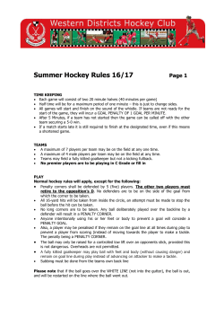 Summer Hockey Rules 16/17