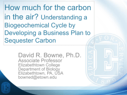 How Much for the Carbon in the Air? Understanding a