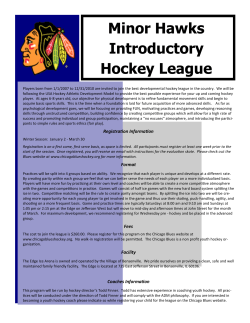 Minor Hawks Introductory Hockey League