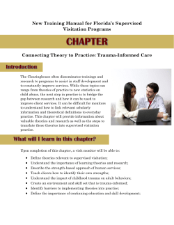 Connecting Theory Pt 1 - The Institute for Family Violence Studies
