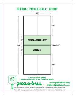non&ndash;volley zone - Fox Valley Park District