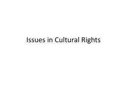 Issues in Cultural Rights