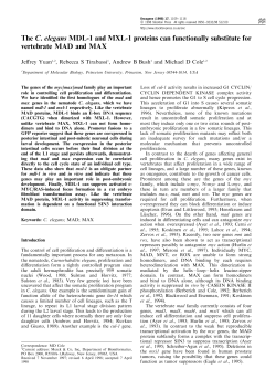 The C. elegans MDL-1 and MXL-1 proteins can functionally