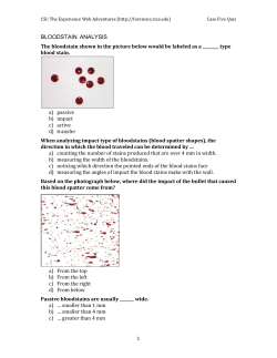 Quiz 5 - CSI: Web Adventures