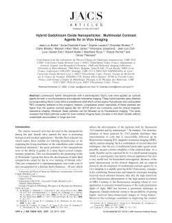 Hybrid Gadolinium Oxide Nanoparticles: Multimodal