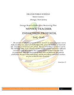The Mentor Will Support Novice Teacher