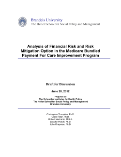 Analysis of Financial Risk and Risk Mitigation Option in the