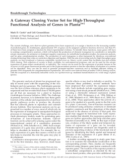 A Gateway Cloning Vector Set for High-Throughput