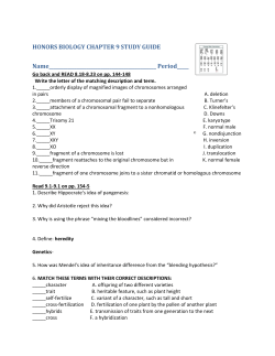 HONORS BIOLOGY CHAPTER 9 STUDY GUIDE