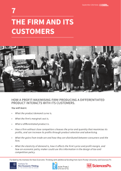 7 the firm and its customers