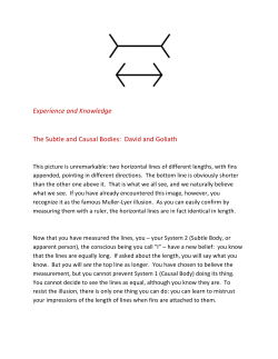 Experience and Knowledge The Subtle and Causal