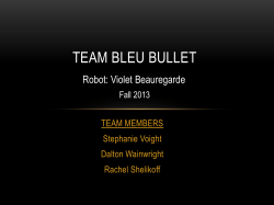 TEAM BLEU BULLET