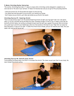 Dynamic Stretching Exercise